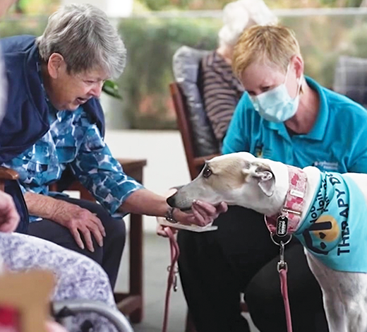 Residents-enjoying-a-visit by-friendly-greyhounds 