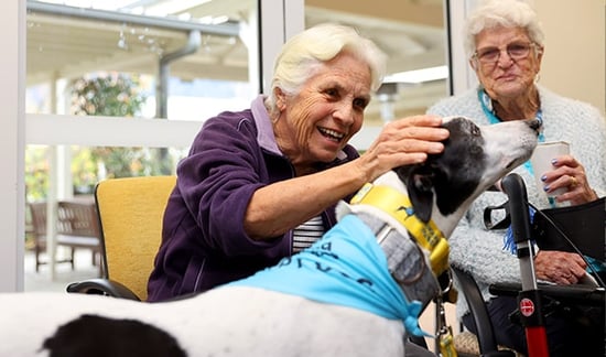 An older woman enjoys pet therapy at HammondCare Horsley, an aged care home near Wollongong, NSW.