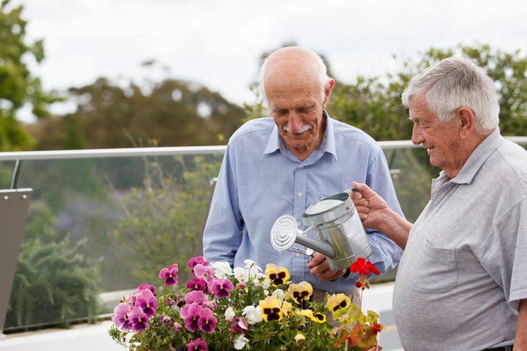 Men gardening at HammondCare's Social Club