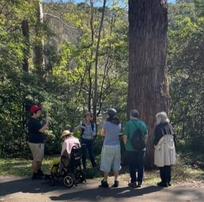 Mayu Kataoka and her forest bathing walk with the Sammut family square