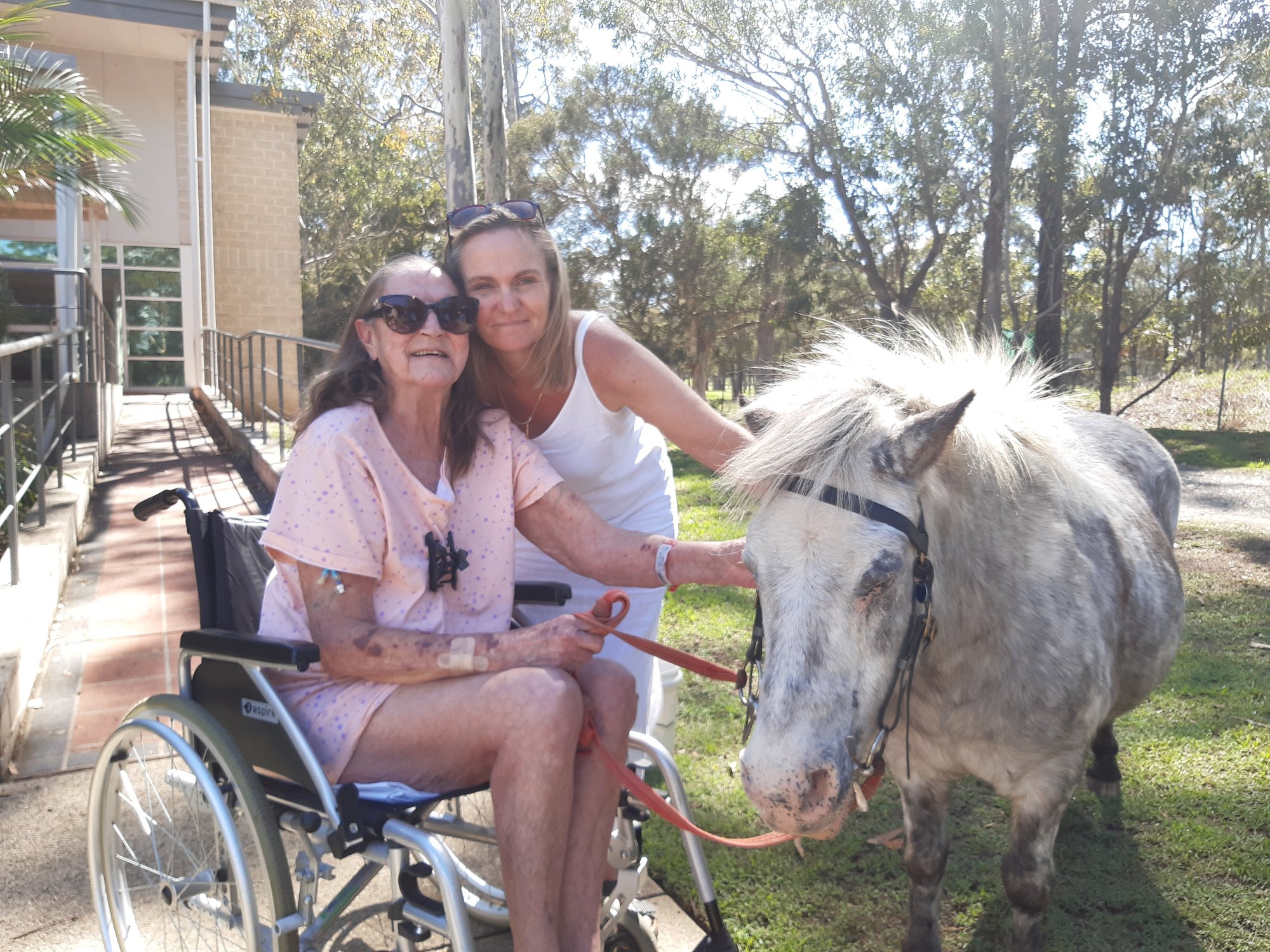 P3. a Denice and pony 1