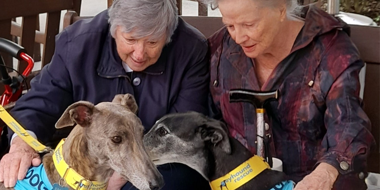 Residents with greyhounds