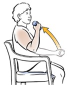 bicep curls