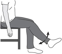 knee extensions