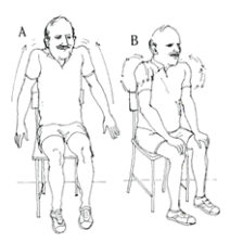 shoulder shrugs and rotations